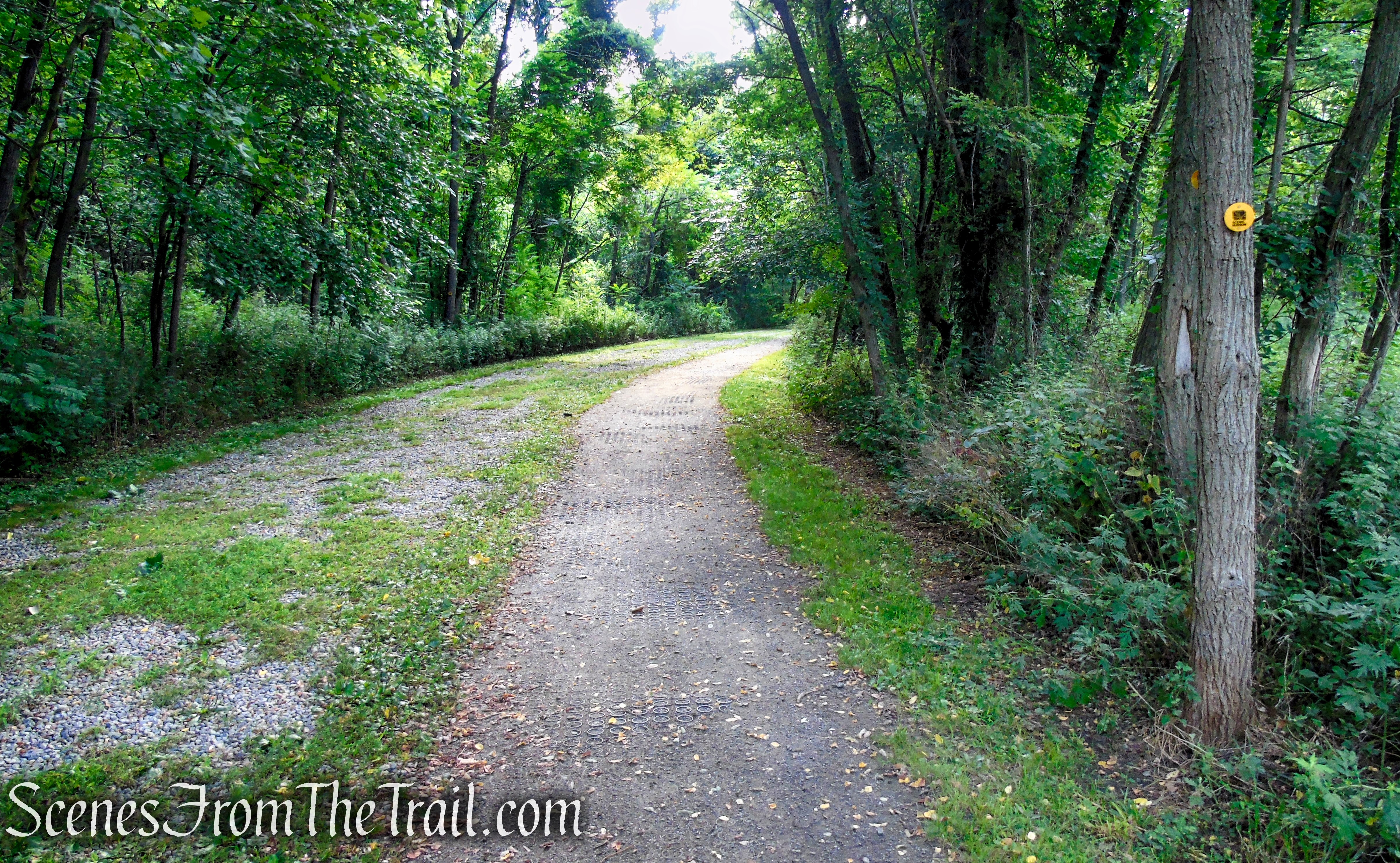 Yellow Foundry Trail - West Point Foundry Preserve