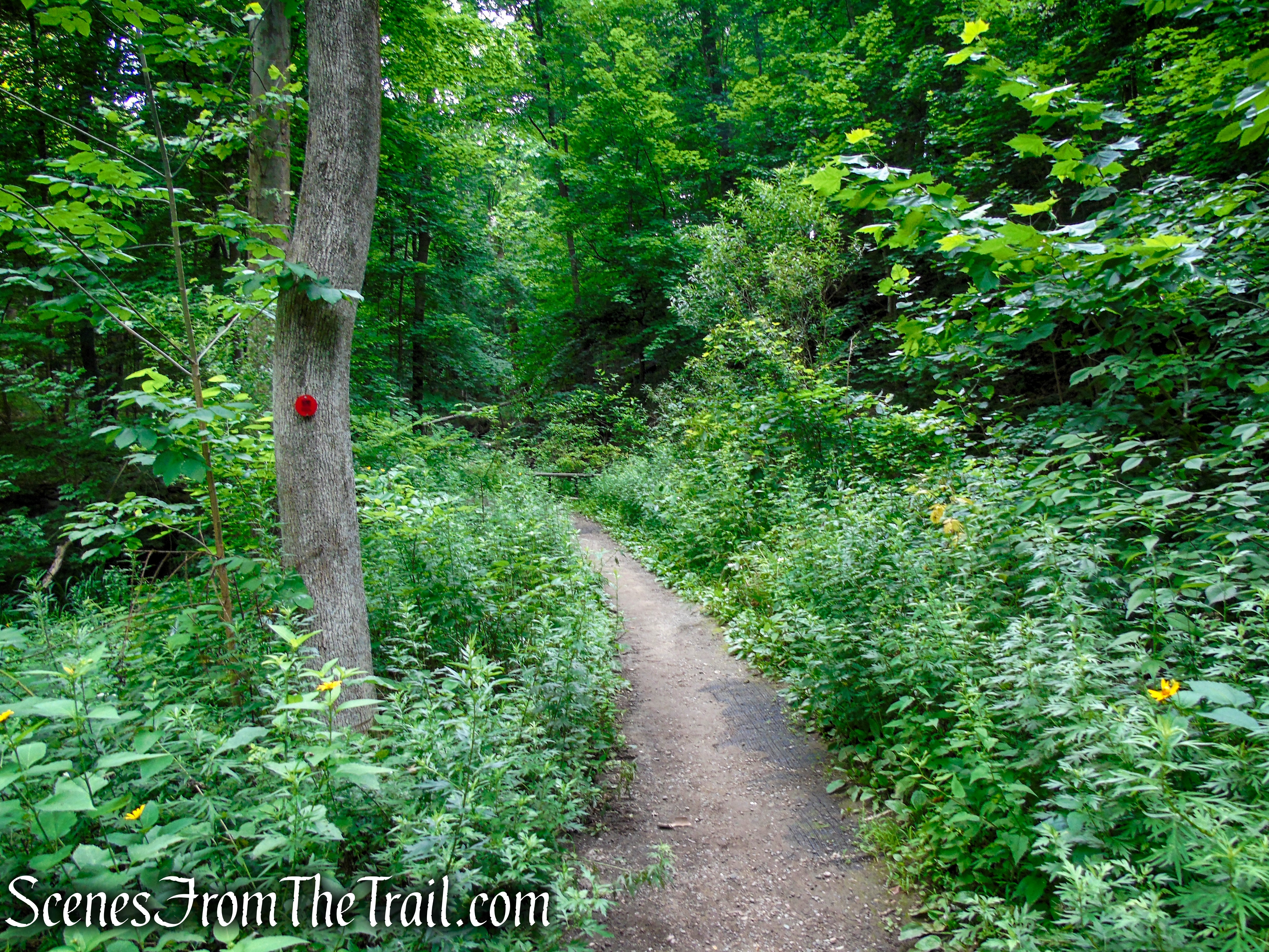 Red Trail - West Point Foundry Preserve
