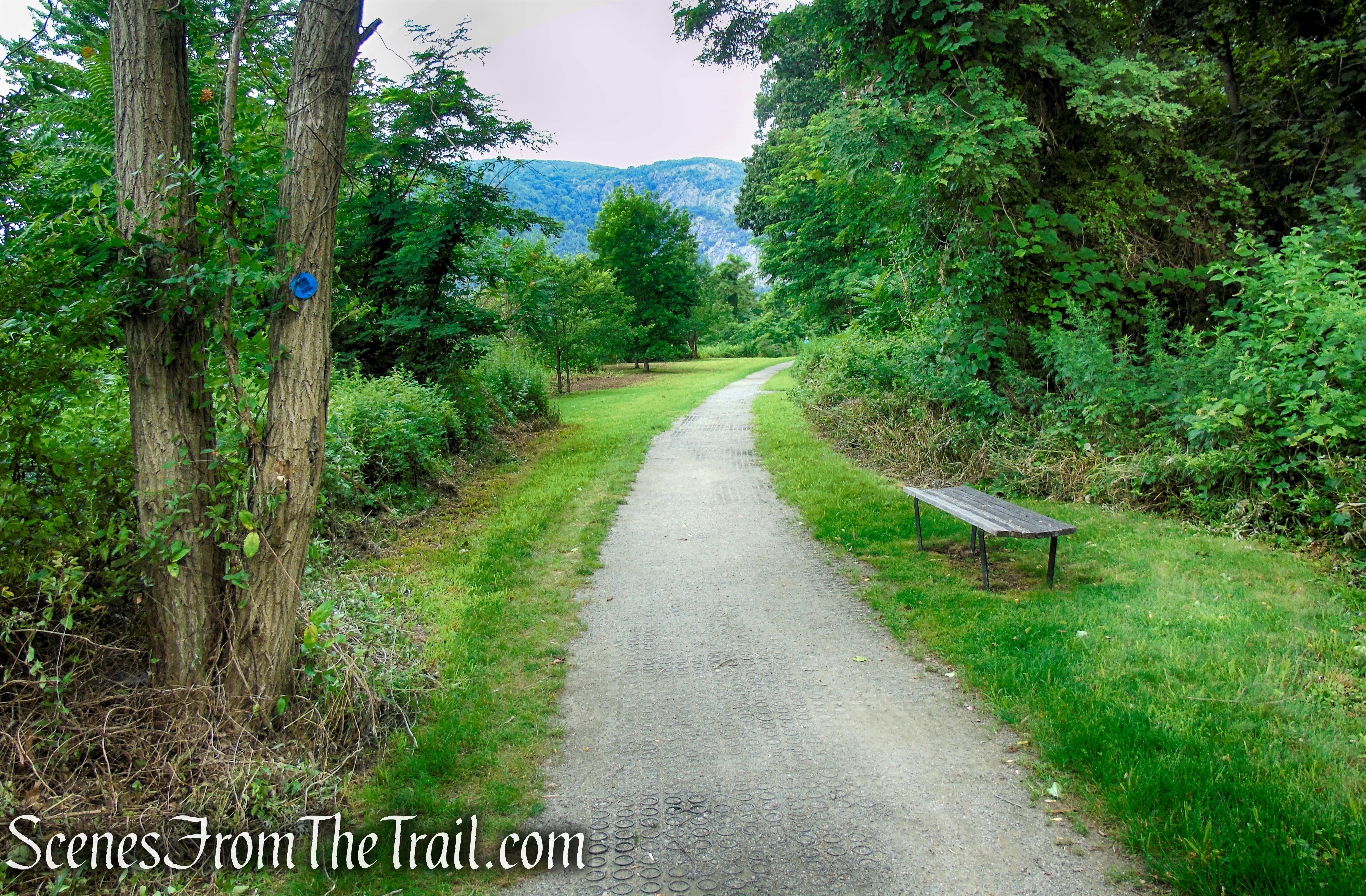 Blue Marsh Trail - West Point Foundry Preserve