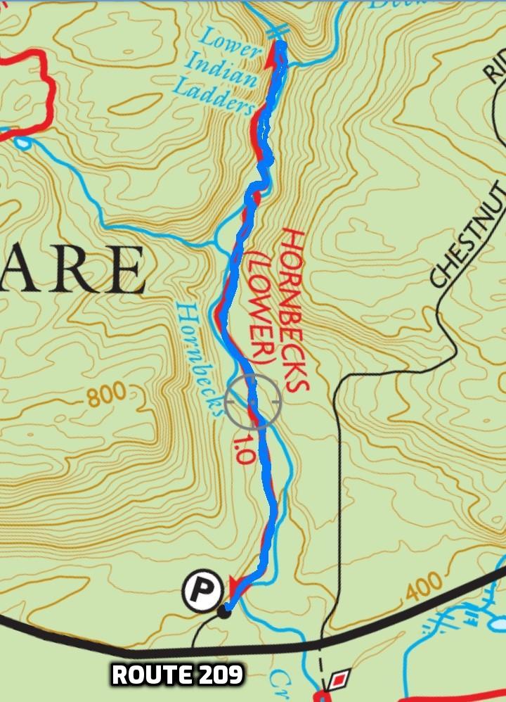 Lower Hornbecks Creek Trail