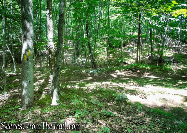 Yellow Trail - Pootatuck State Forest