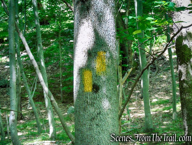 Yellow Trail - Pootatuck State Forest