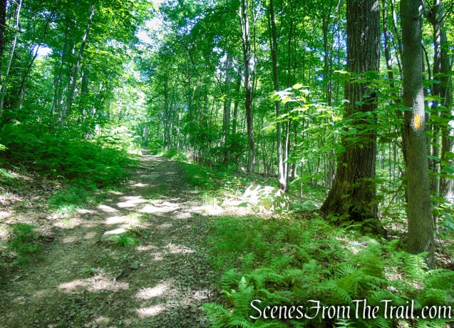 Yellow Trail - Pootatuck State Forest
