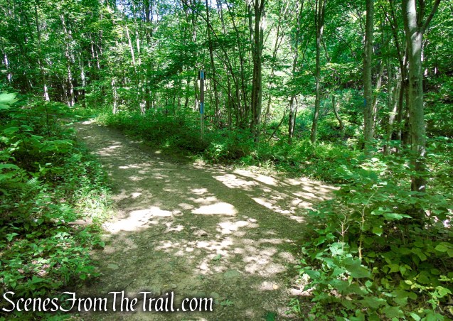 Yellow Trail - Pootatuck State Forest