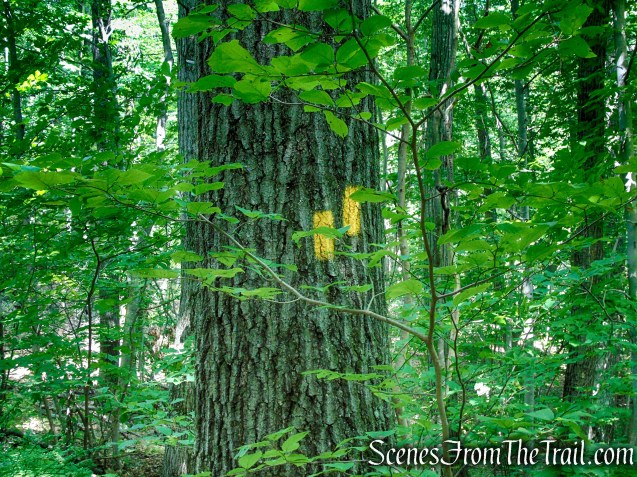 Yellow Trail - Pootatuck State Forest