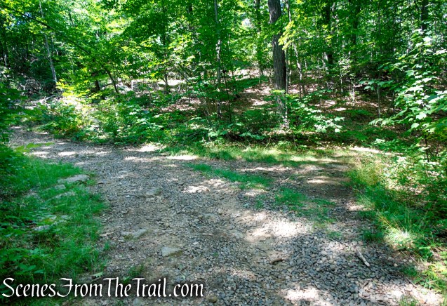 Turn right to remain on Yellow Trail