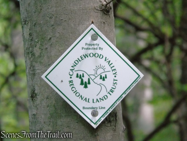 Yellow Trail - Pootatuck State Forest