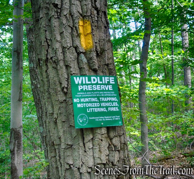 Yellow Trail - Pootatuck State Forest