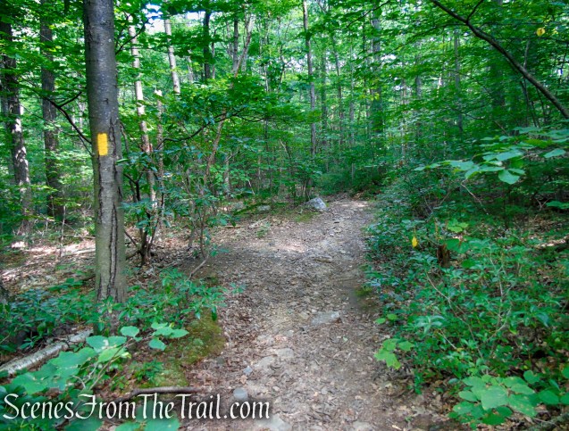 Yellow Trail - Pootatuck State Forest