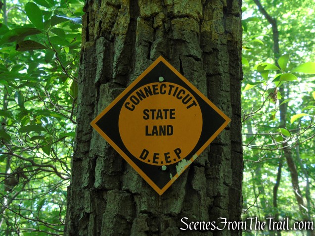 Yellow Trail - Pootatuck State Forest