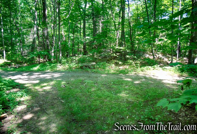 Turn left on Forest/CCC Road