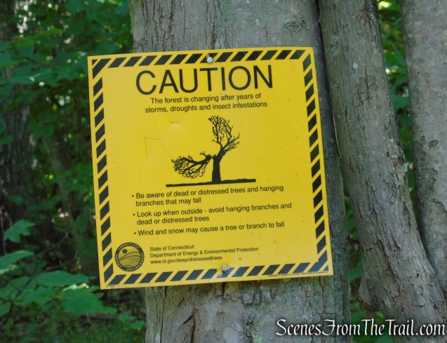 Pine Hill Trailhead – Pootatuck State Forest