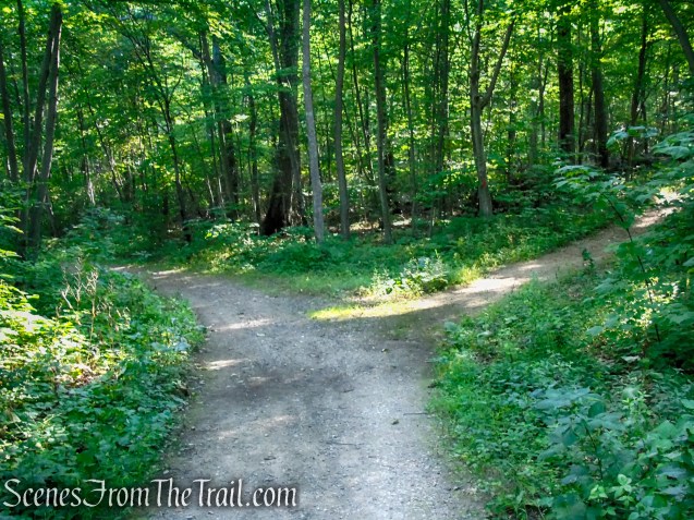 Turn right on Orange Trail