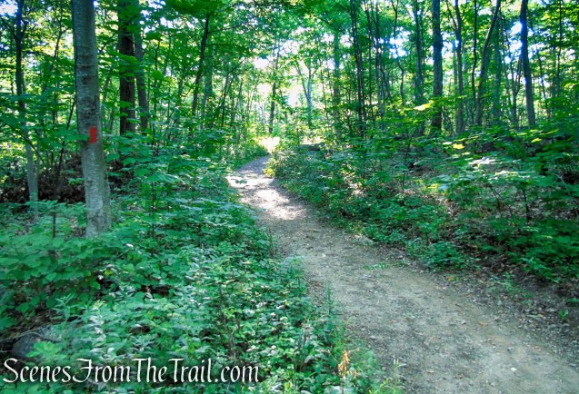 Orange Trail - Pootatuck State Forest