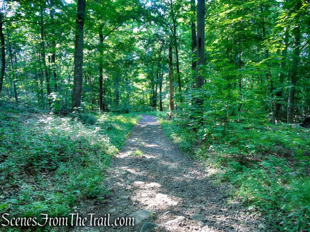 Orange Trail - Pootatuck State Forest