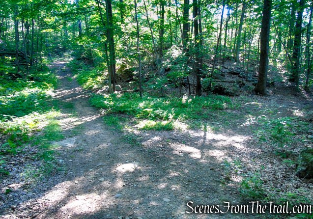 Continue straight on Orange Trail