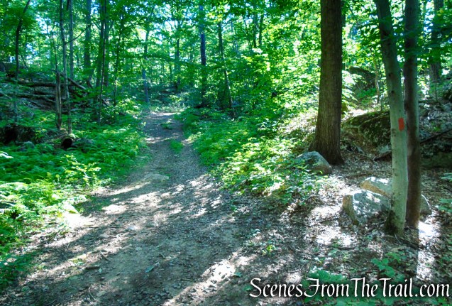 Orange Trail - Pootatuck State Forest