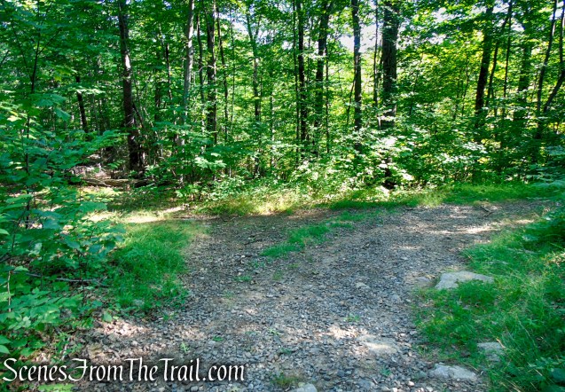 Turn right on Yellow Trail