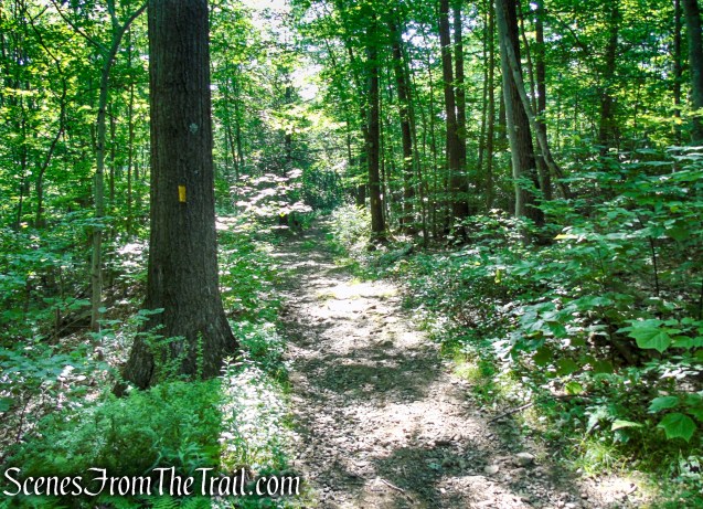 Yellow Trail - Pootatuck State Forest