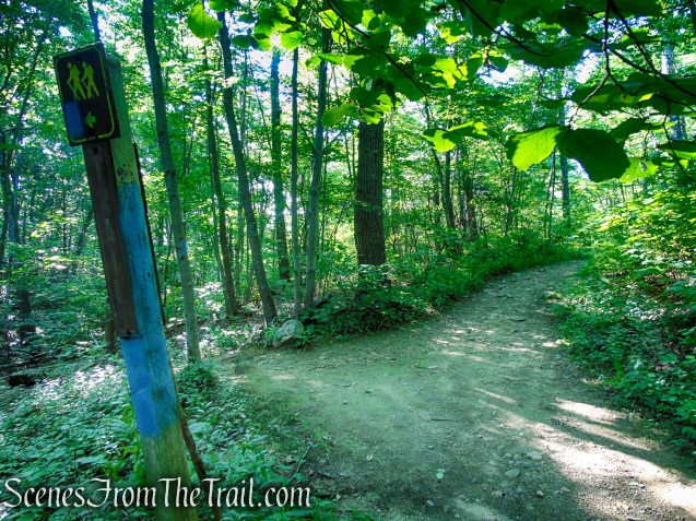 Turn left on Blue Trail