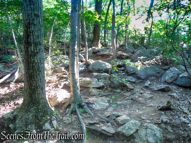 Blue Trail - Pootatuck State Forest
