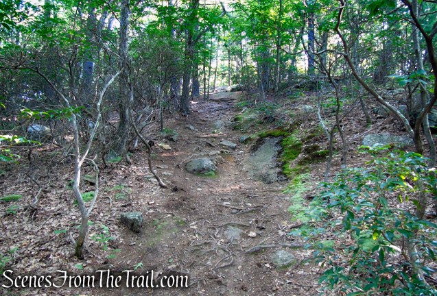 Blue Trail - Pootatuck State Forest
