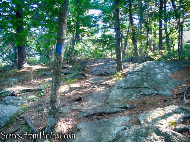 Blue Trail - Pootatuck State Forest