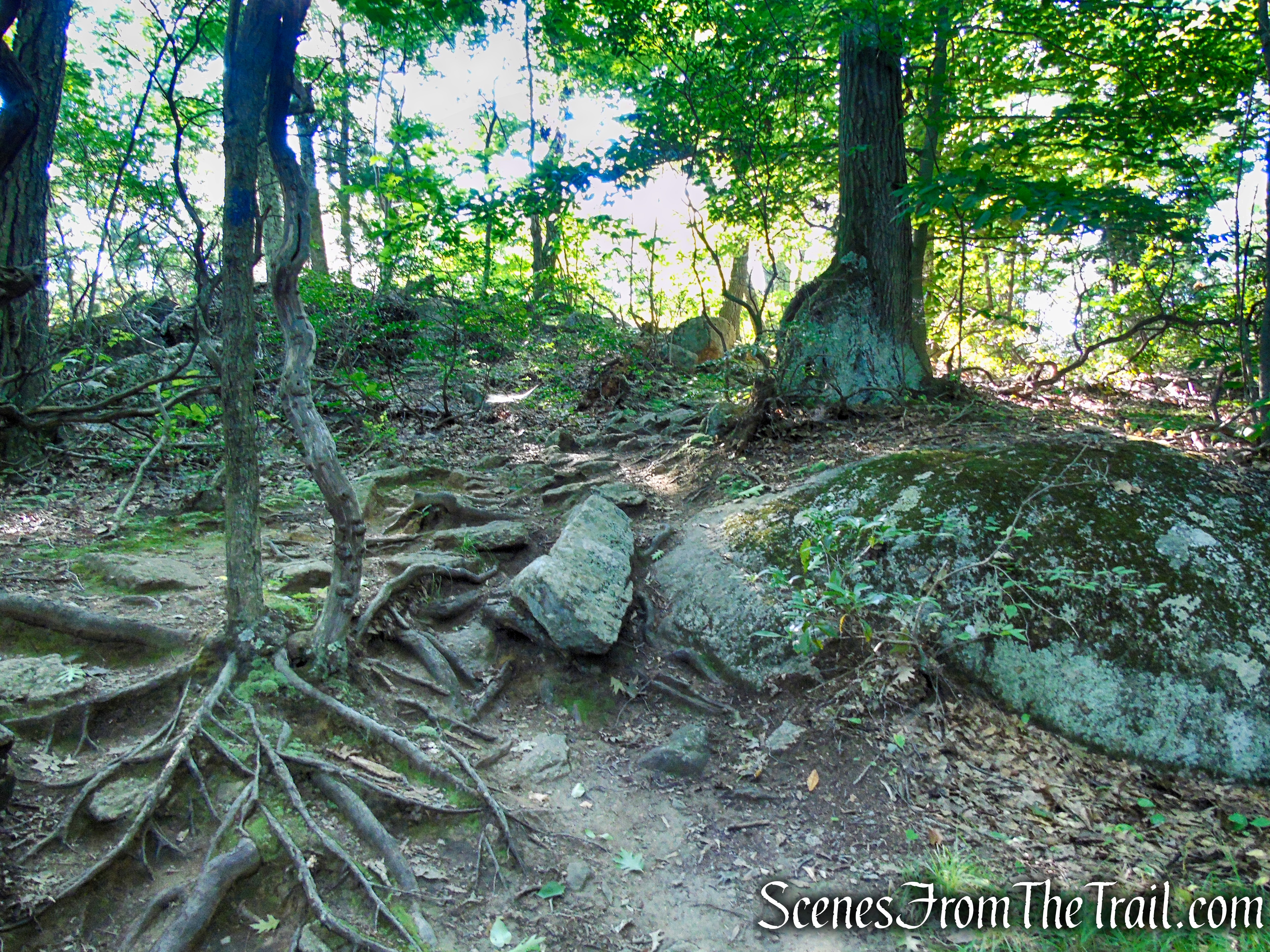 Blue Trail - Pootatuck State Forest