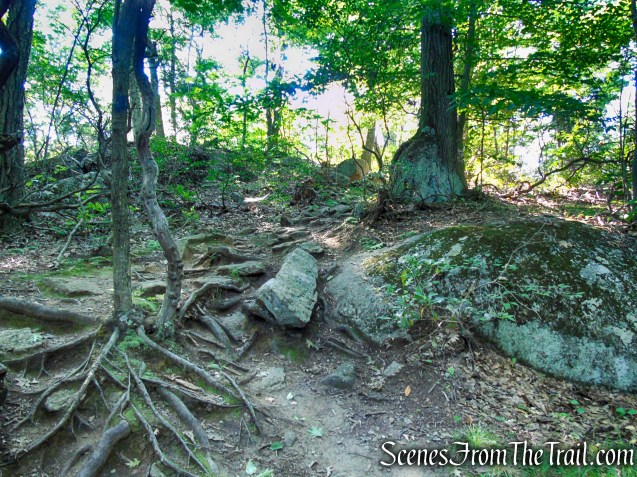 Blue Trail - Pootatuck State Forest
