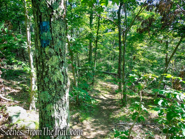 Blue Trail - Pootatuck State Forest