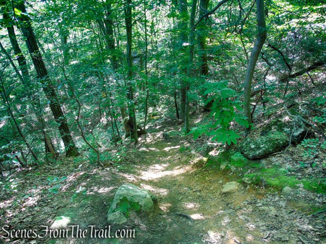 Blue Trail - Pootatuck State Forest
