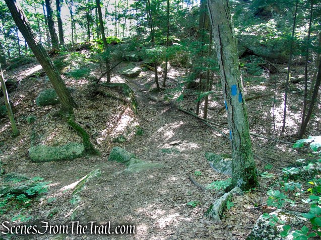 Blue Trail - Pootatuck State Forest