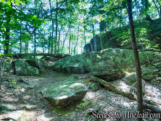 Blue Trail - Pootatuck State Forest
