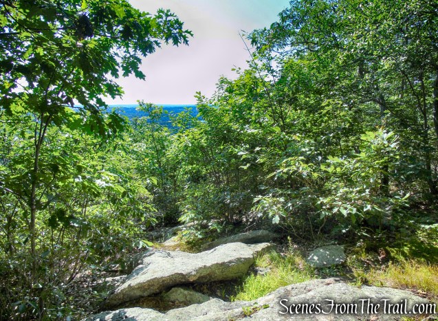 Blue Trail - Pootatuck State Forest