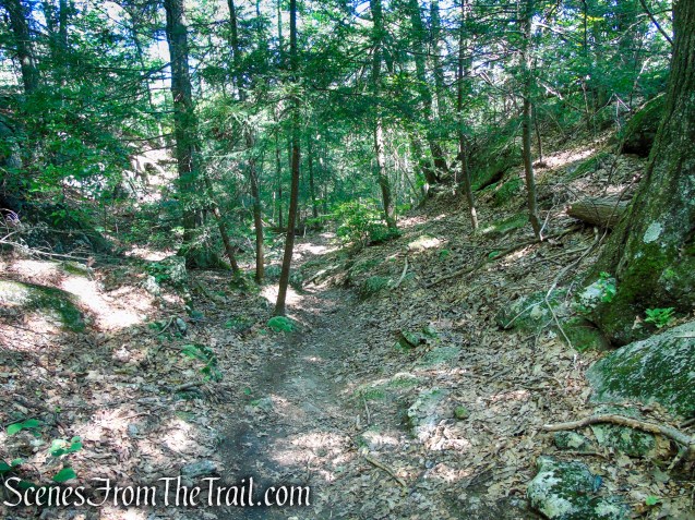 Blue Trail - Pootatuck State Forest