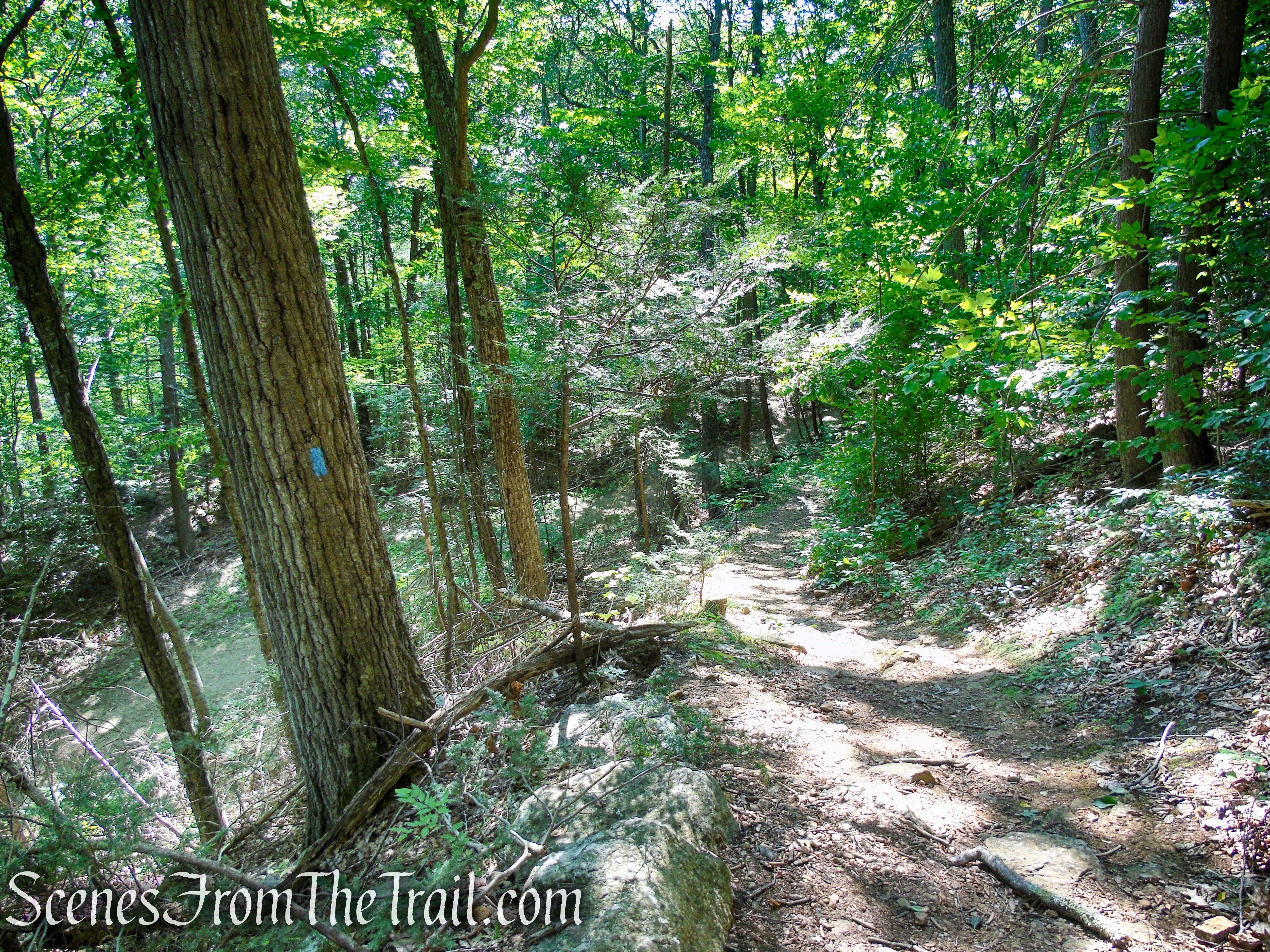 Blue Trail - Pootatuck State Forest
