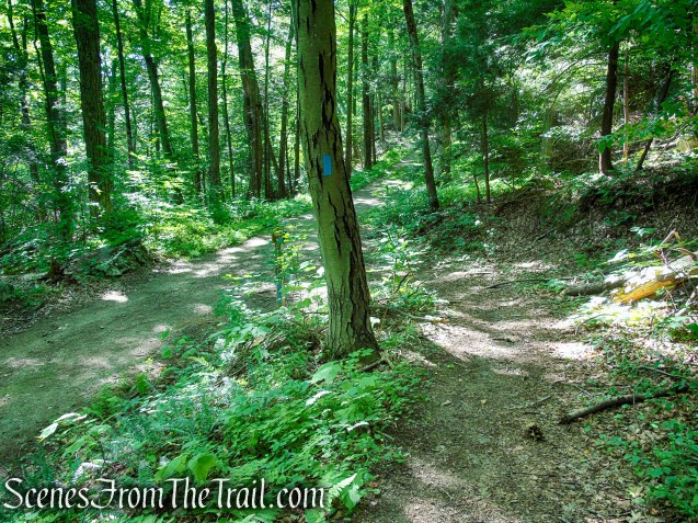 Blue Trail - Pootatuck State Forest