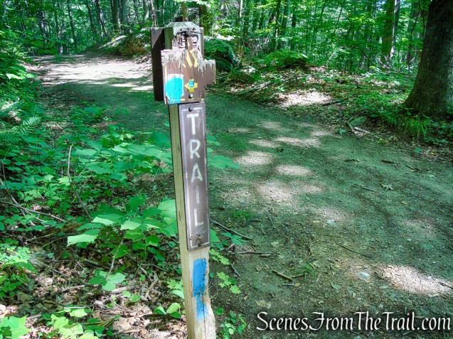 End of Blue Trail - Pootatuck State Forest