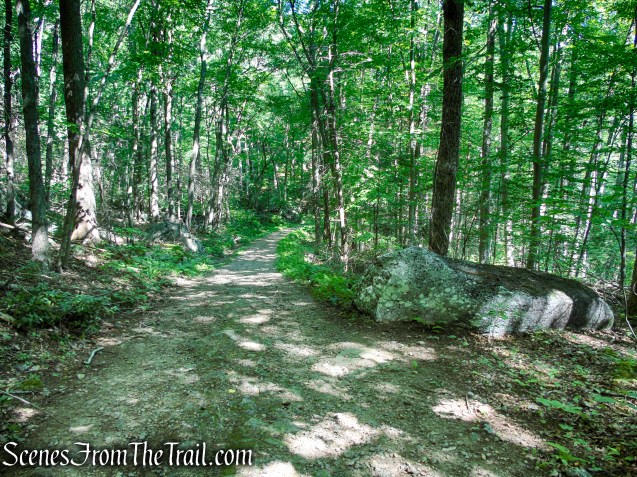 Forest/CCC Road - Pootatuck State Forest