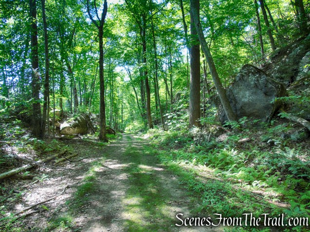 Forest/CCC Road - Pootatuck State Forest