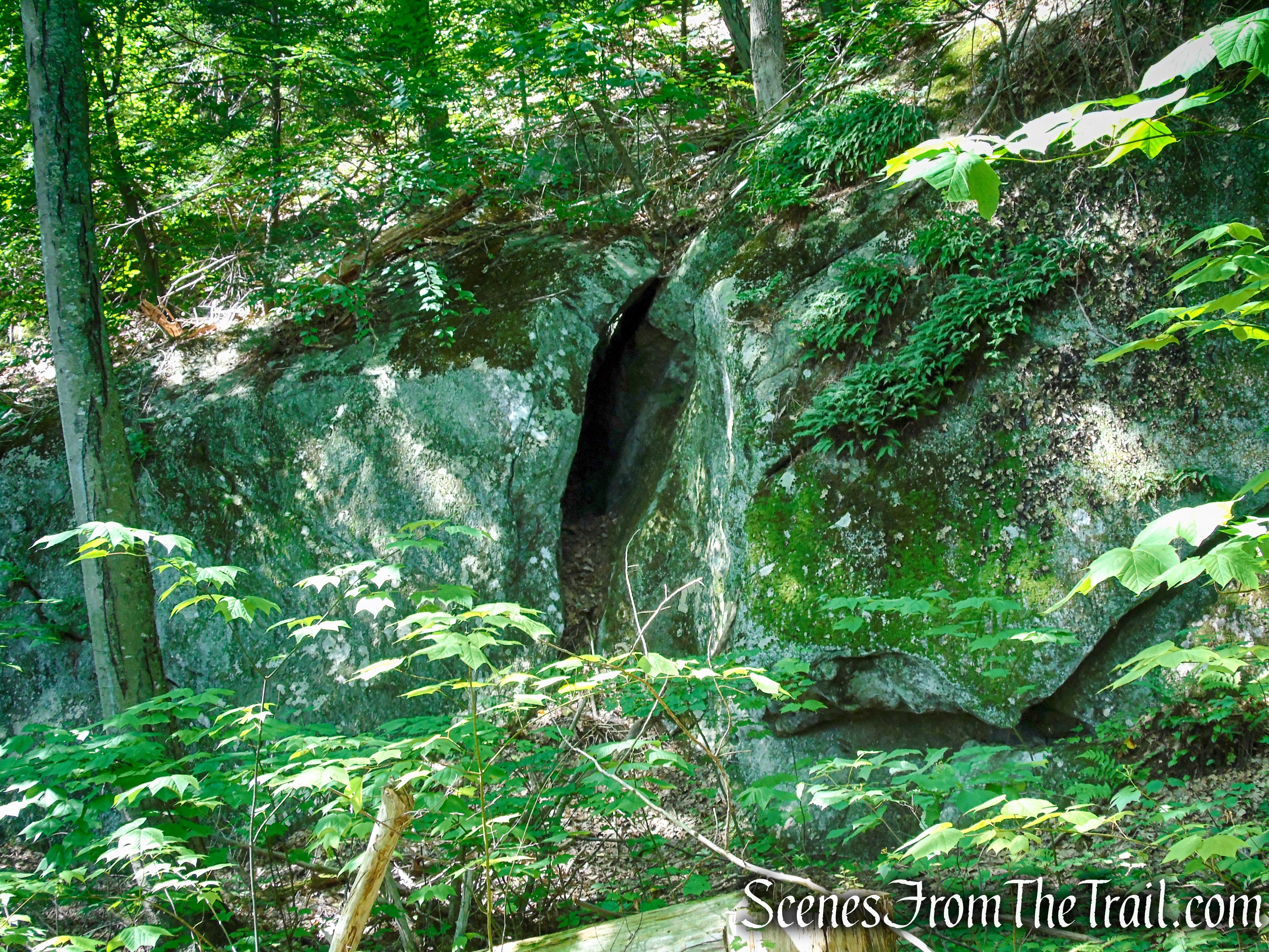 Forest/CCC Road - Pootatuck State Forest