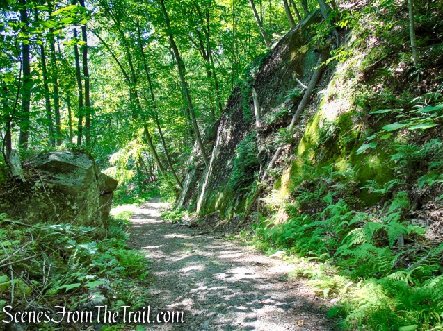 Forest/CCC Road - Pootatuck State Forest