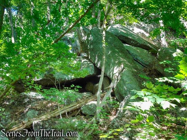 Forest/CCC Road - Pootatuck State Forest