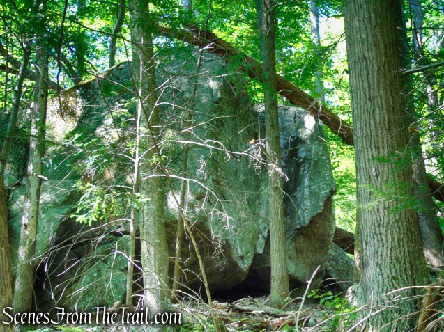 Forest/CCC Road - Pootatuck State Forest