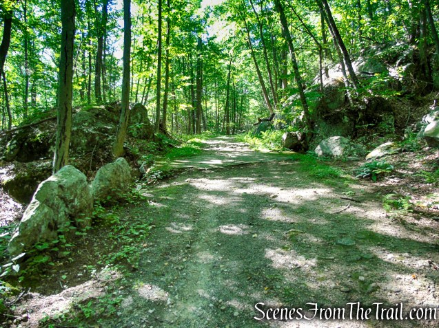 Forest/CCC Road - Pootatuck State Forest