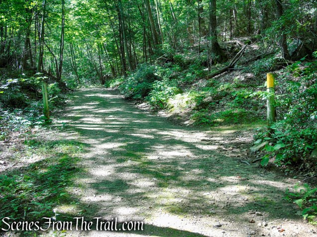 Turn right on Yellow Trail