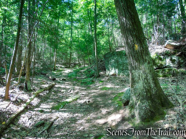 Yellow Trail - Pootatuck State Forest