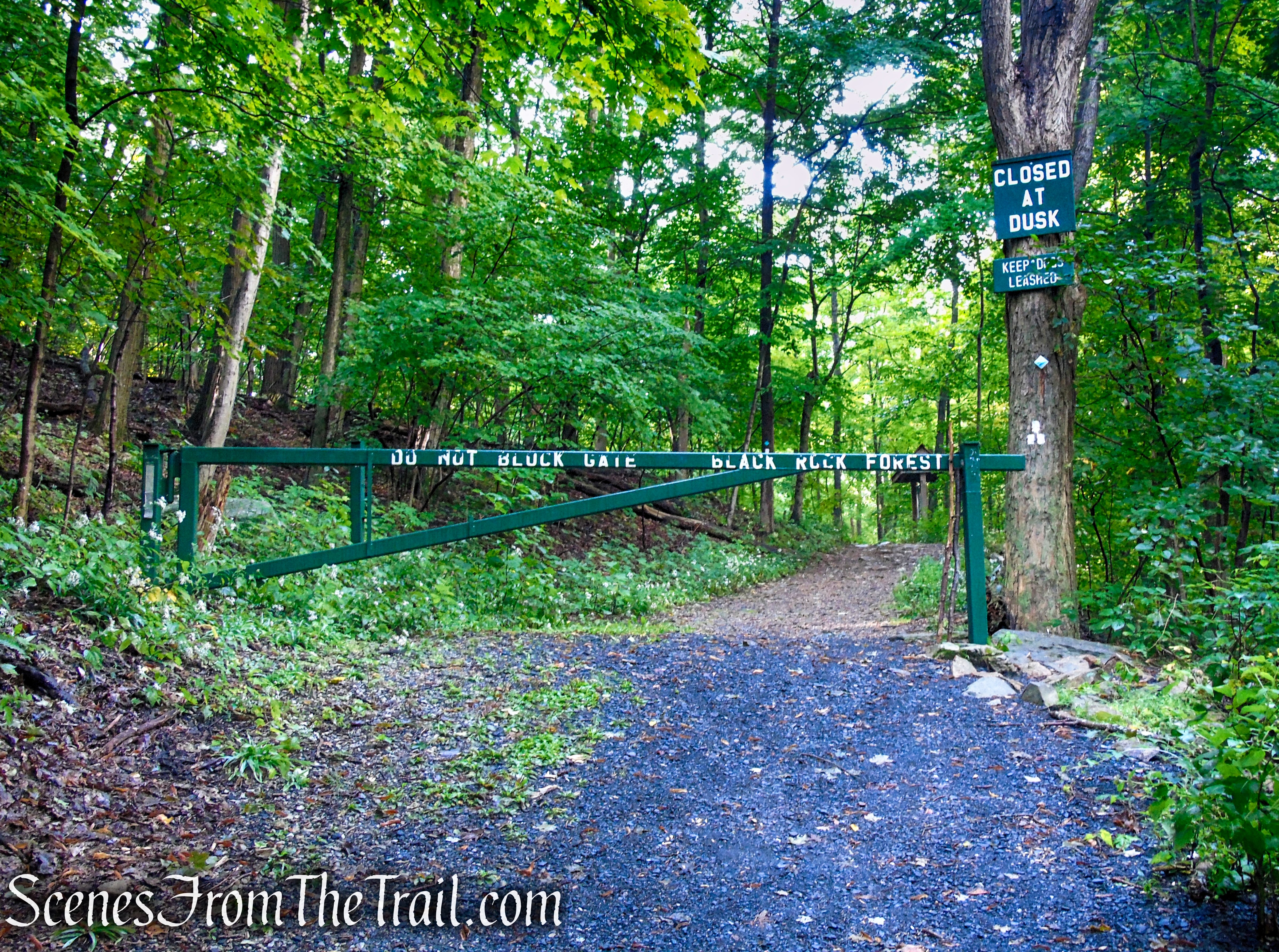 Old Mineral Springs Road Trailhead