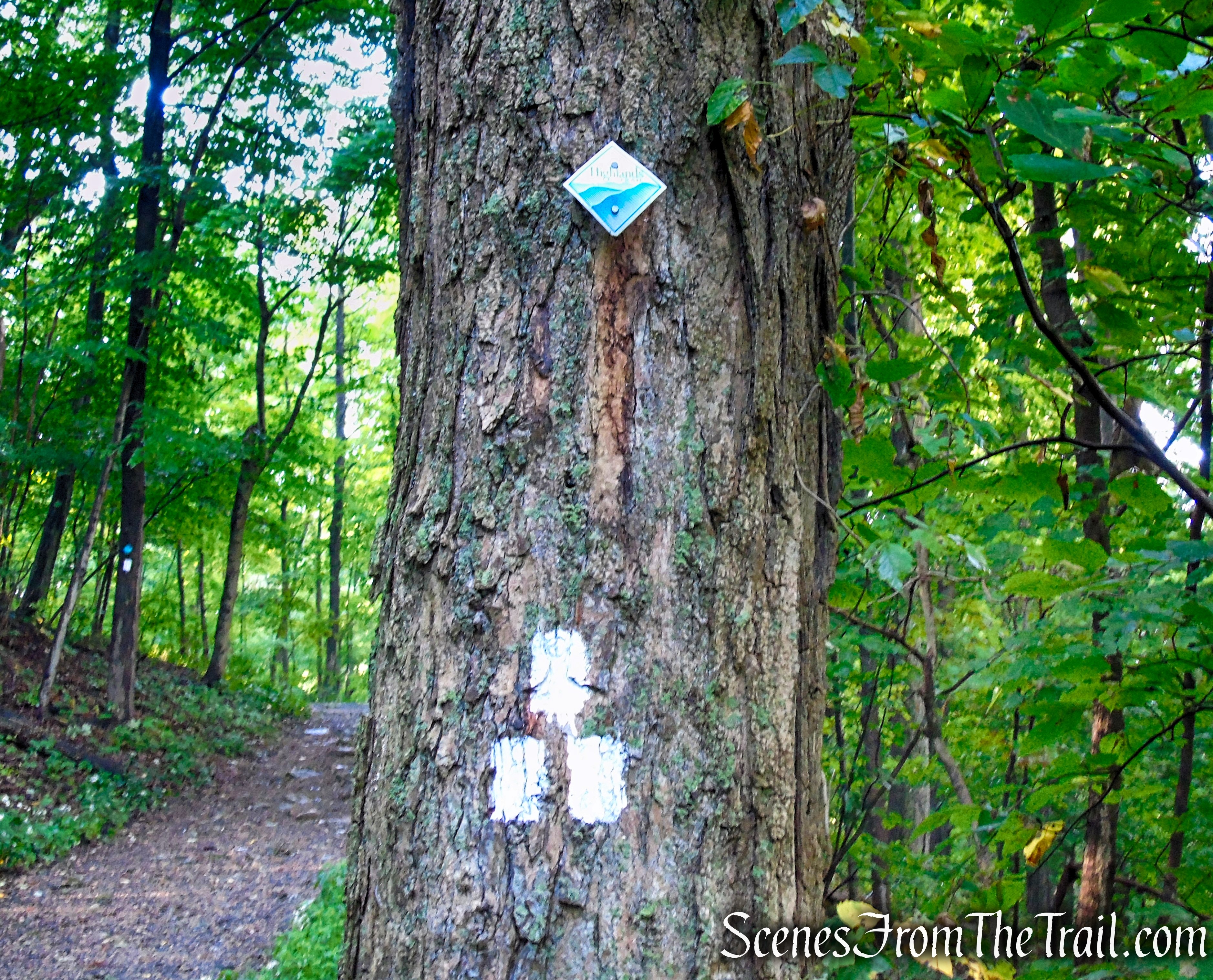 Old Mineral Springs Road Trailhead
