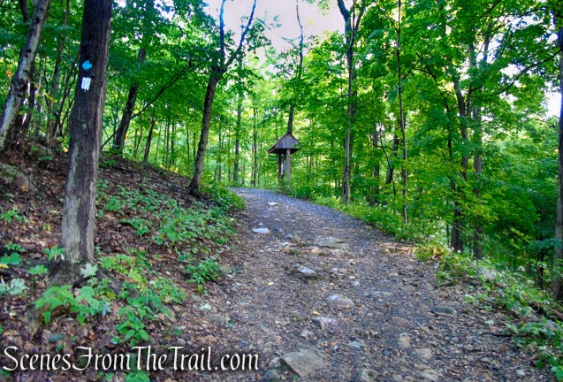 Scenic Trail - Black Rock Forest